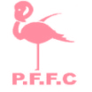 pink-flamingos-fc-pink