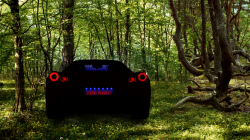 Ferrari 458 in Serenynia Forest